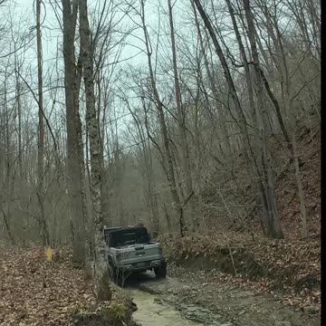 Off-Roading Adventure Deep in the Muddy Woods 2m #jeep #jeepwrangler #offroad