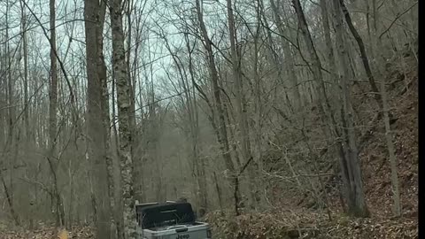 Off-Roading Adventure Deep in the Muddy Woods 2m #jeep #jeepwrangler #offroad