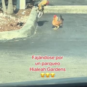 Welcome to Hialeah, Florida 😅🤣😜🇺🇸