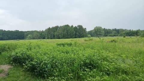 za dużo do stracenia ...