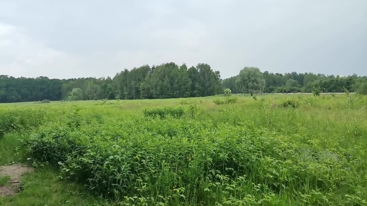 za dużo do stracenia ...