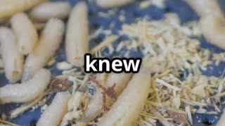 🪱⚕️ Maggots in Medicine – Nature’s Tiny Surgeons! 🏥🧬