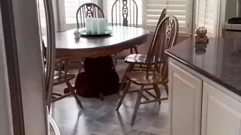 💡🧿 Paranormal Lights and Whispers Caught on Tape | TheHauntingHour