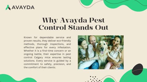 Expert Mice Removal for Homes in Calgary with Avayda Pest Control