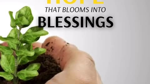 Every prayer you plant grows in God’s perfect time. 🌱✨