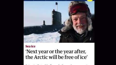 We have stupid scientists
