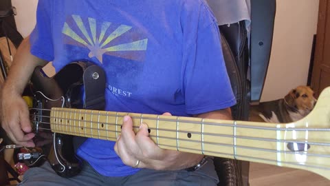 Tears For Fears - Everybody Wants To Rule The World Bass Cover