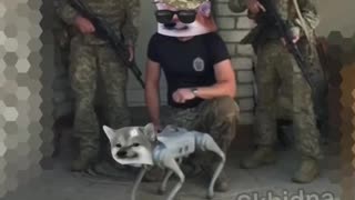 🎉💪 Ukraine Russia War | Ukrainian 35th Marine Brigade Receives New Comrade Funded by NAFO | RCF