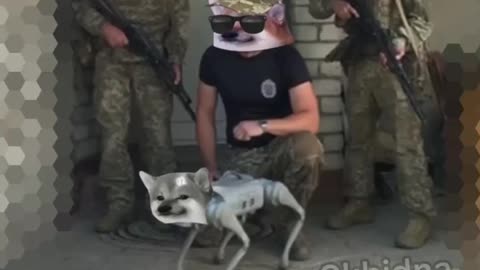 🎉💪 Ukraine Russia War | Ukrainian 35th Marine Brigade Receives New Comrade Funded by NAFO | RCF