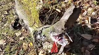 Take another look at it