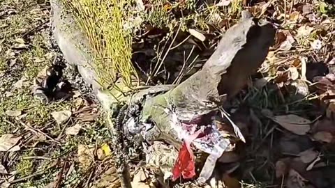 Take another look at it