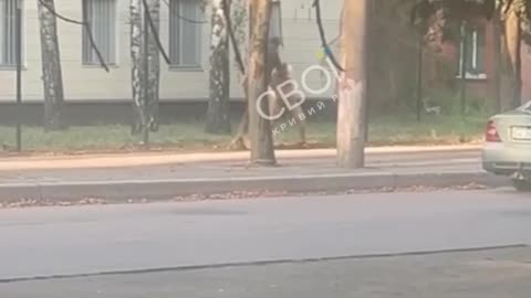 🚨🛑 Ukraine Russia War | TCC Serviceman Assaults Civilian in Kryvyi Rih as Police Stand By | RCF