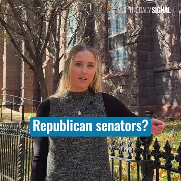 Why End the Government Shutdown Now?