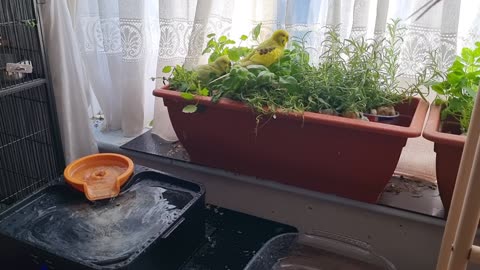 And Yet Another Bath-Time Video