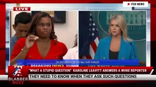 "What A Stupid Question" Karoline Leavitt Answers A Woke Reporter