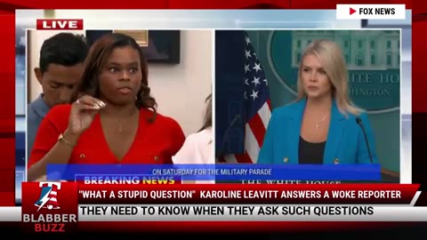 "What A Stupid Question" Karoline Leavitt Answers A Woke Reporter