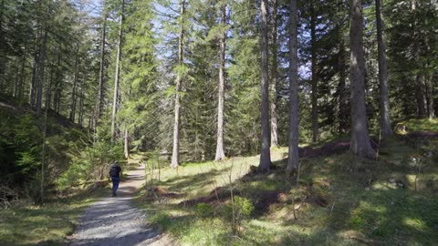 Grüner See Trail Austria's most beautiful place