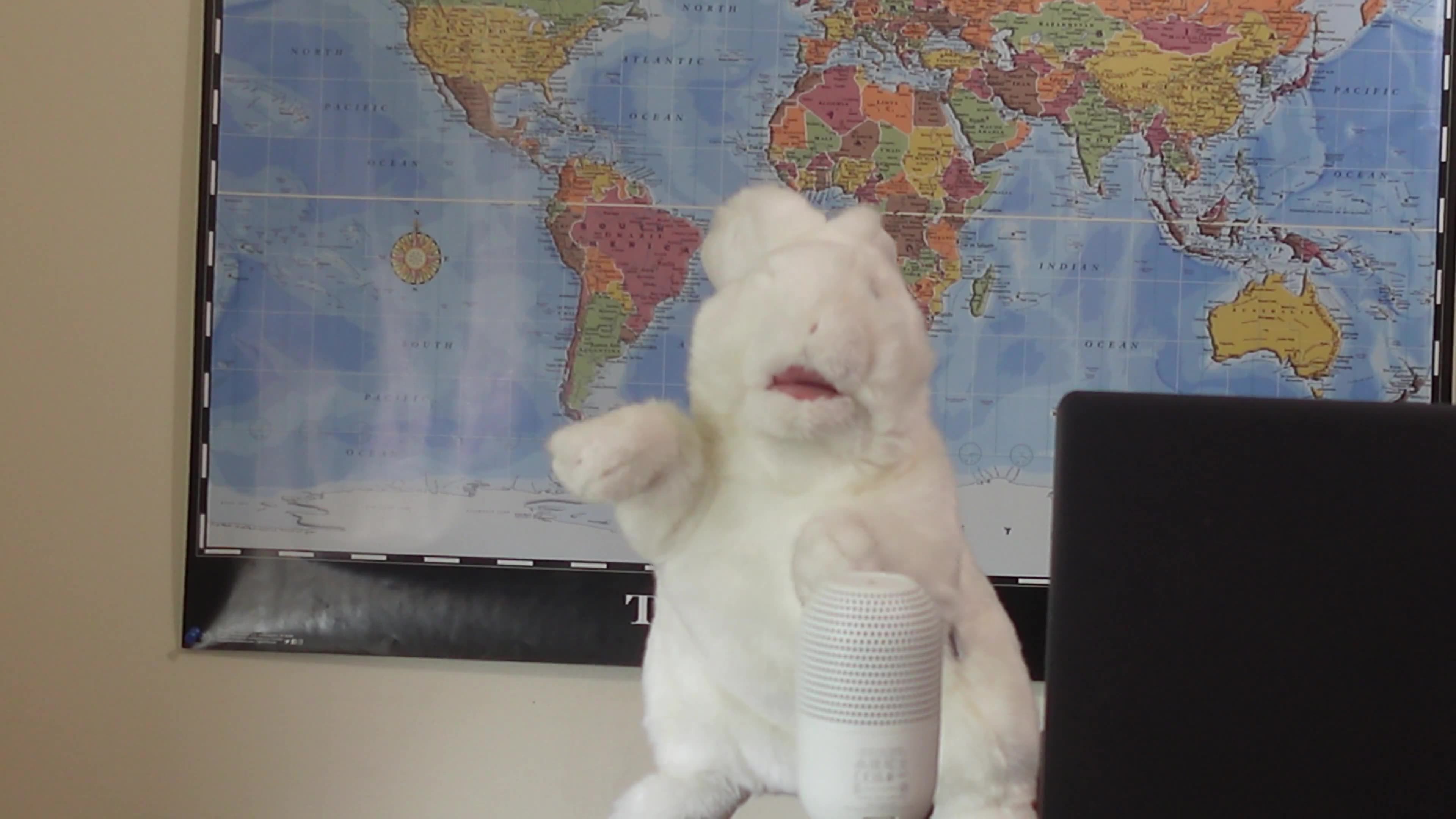 We warned you about Mark carney. Now are you listening ?