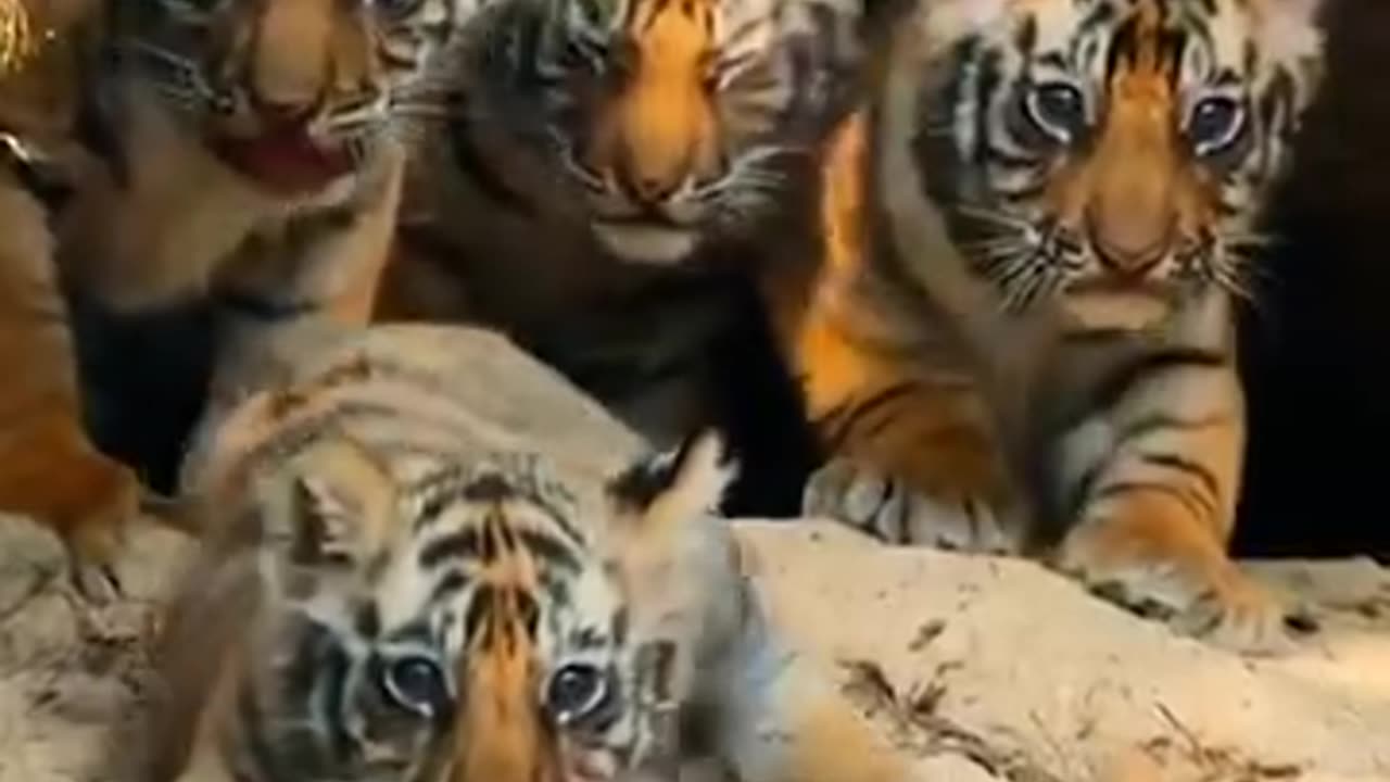 Amazing