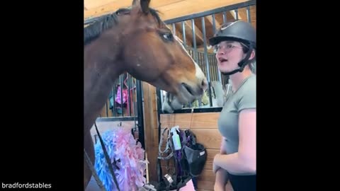 Your Daily Dose of Pets