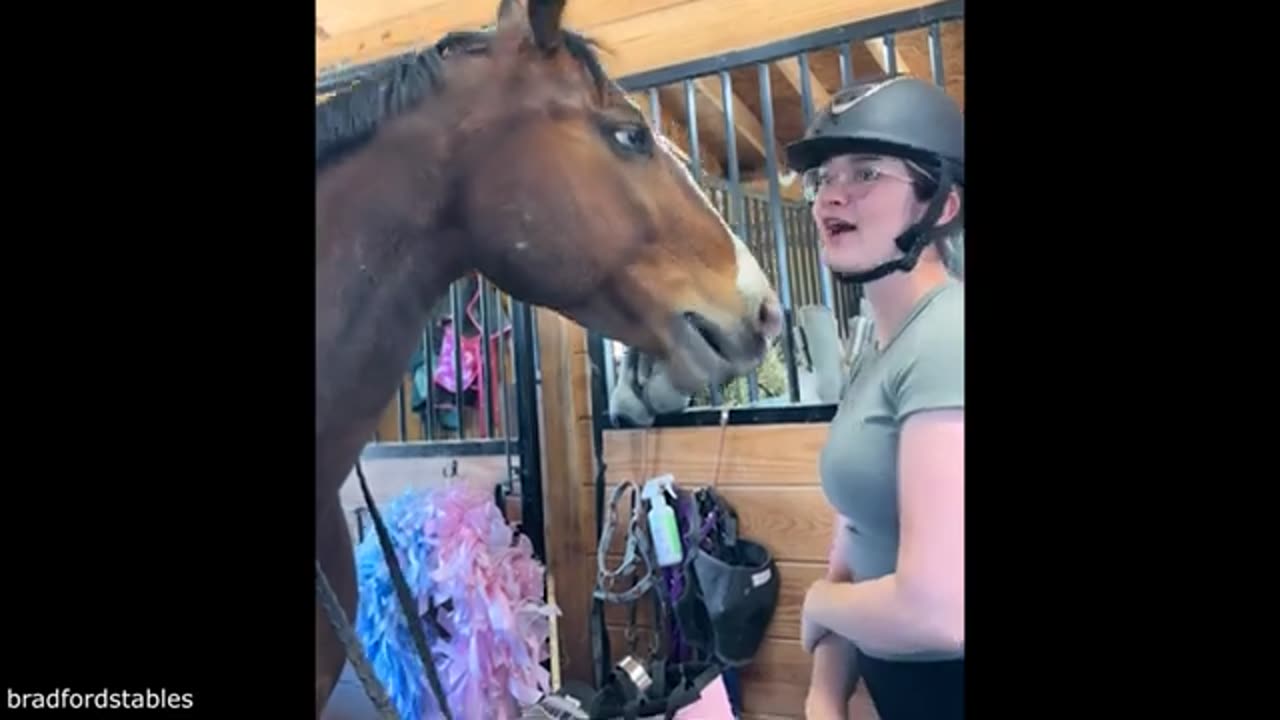 Your Daily Dose of Pets