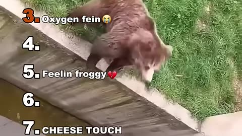 #fun #funny #laughter