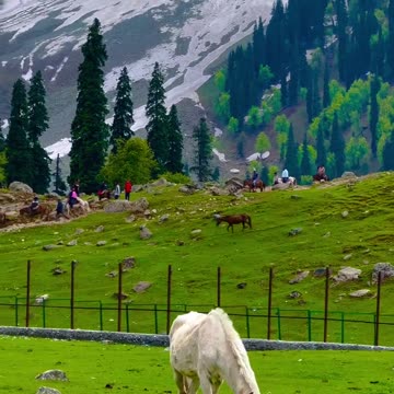 Agar tum 🫴🏔️🌲… ( Sukoon 😍 )