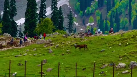 Agar tum 🫴🏔️🌲… ( Sukoon 😍 )