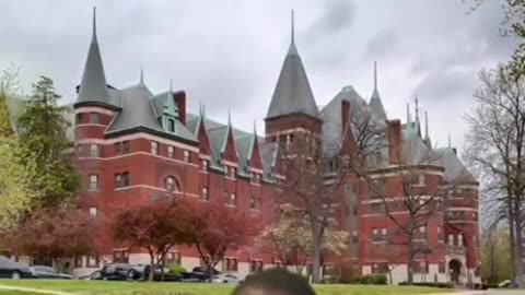 ◻️🔺The Last Reset