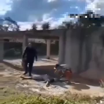 Pif-paf i po sprawie