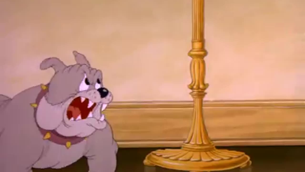 Tom and Jerry | Classics | Ep5