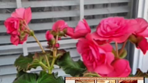 OLTEA HOZAN POEZIA -EȘTI LIBER SĂ ALEGI- Editor Valentin Trif #caleacătrerai #podcast #poetry #share