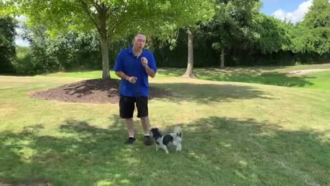 Shocking: The BIGGEST Mistake People Make With Puppy House Training
