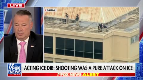 Acting ICE Director Todd Lyons: "The rhetoric, and just the comments —