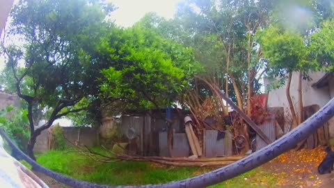 Algunas gotas locas en Tacuarembó y los perritos a la vuelta (04/11/2025)