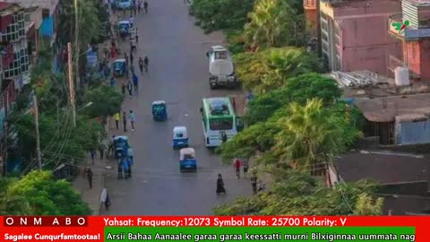 Oduu Waaree ONM-ABO Fulbaana 1-2025 itti dhiyaadhaa!