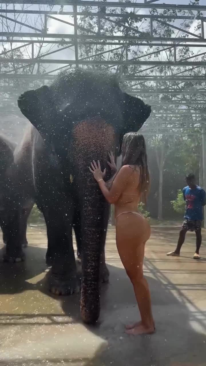 🐘 Beautiful Wild Life And Sexy Big Booty 🍑