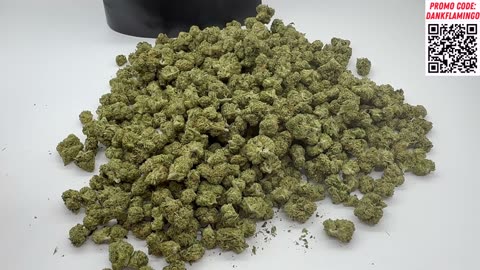 Bulk Wholesale Cheap $180 QP of Ice Cream Cake from THCA Small Buds!! The Dank Flamingo Review!!