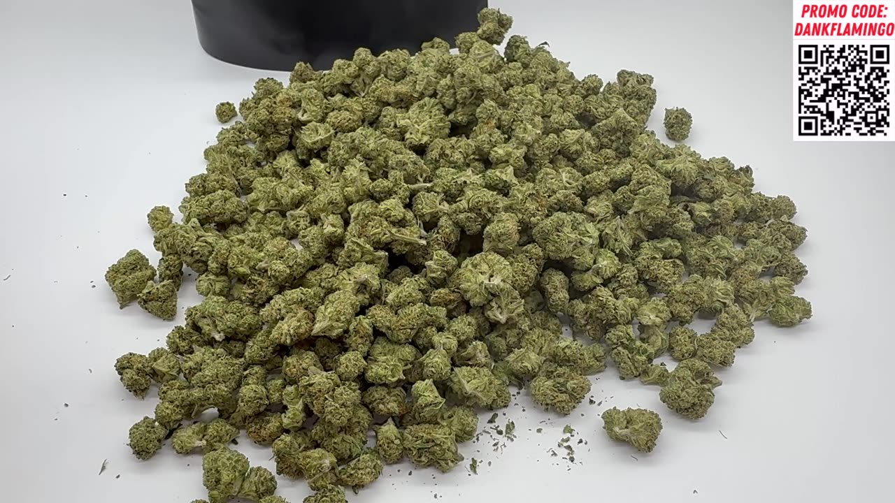 Bulk Wholesale Cheap $180 QP of Ice Cream Cake from THCA Small Buds!! The Dank Flamingo Review!!