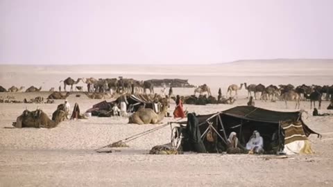 ( ١٨ ) قصة _ ماذا حدث بين الثلاثة المسافرين والبنت راعية الغنم؟