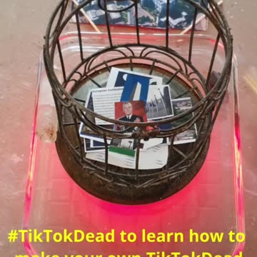 Tim Rifat TikTok Videos