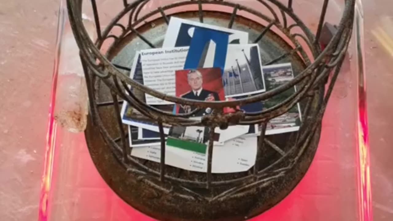 Tim Rifat TikTok Videos