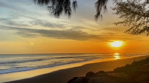 Gentle Ocean Waves & Tropical Birds | Peaceful Sunrise Ambience for Relaxation & Meditation