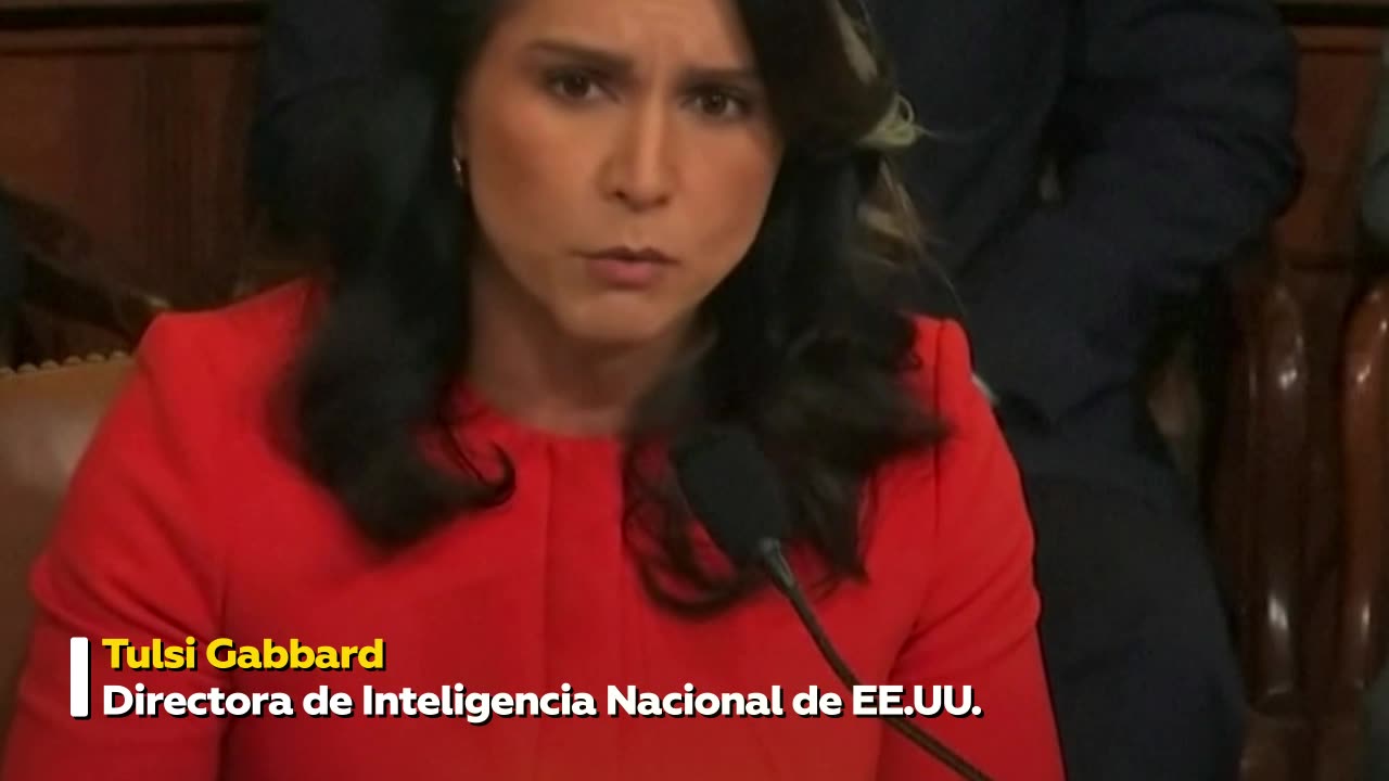 Tulsi Gabbard no recuerda en qué país estaba durante el escándalo de Signal