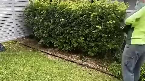 _cleaning _lawncare _extremelycomfortable _landscape _obsessive _construction _viralvideo