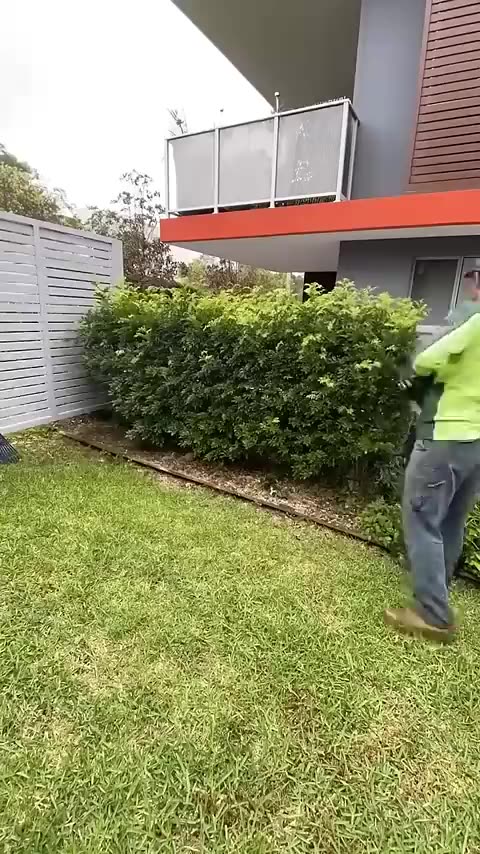 _cleaning _lawncare _extremelycomfortable _landscape _obsessive _construction _viralvideo