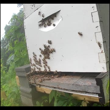 Thursday Morning Sunrise