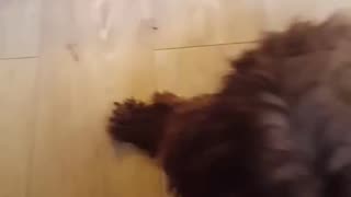 Happy To See You