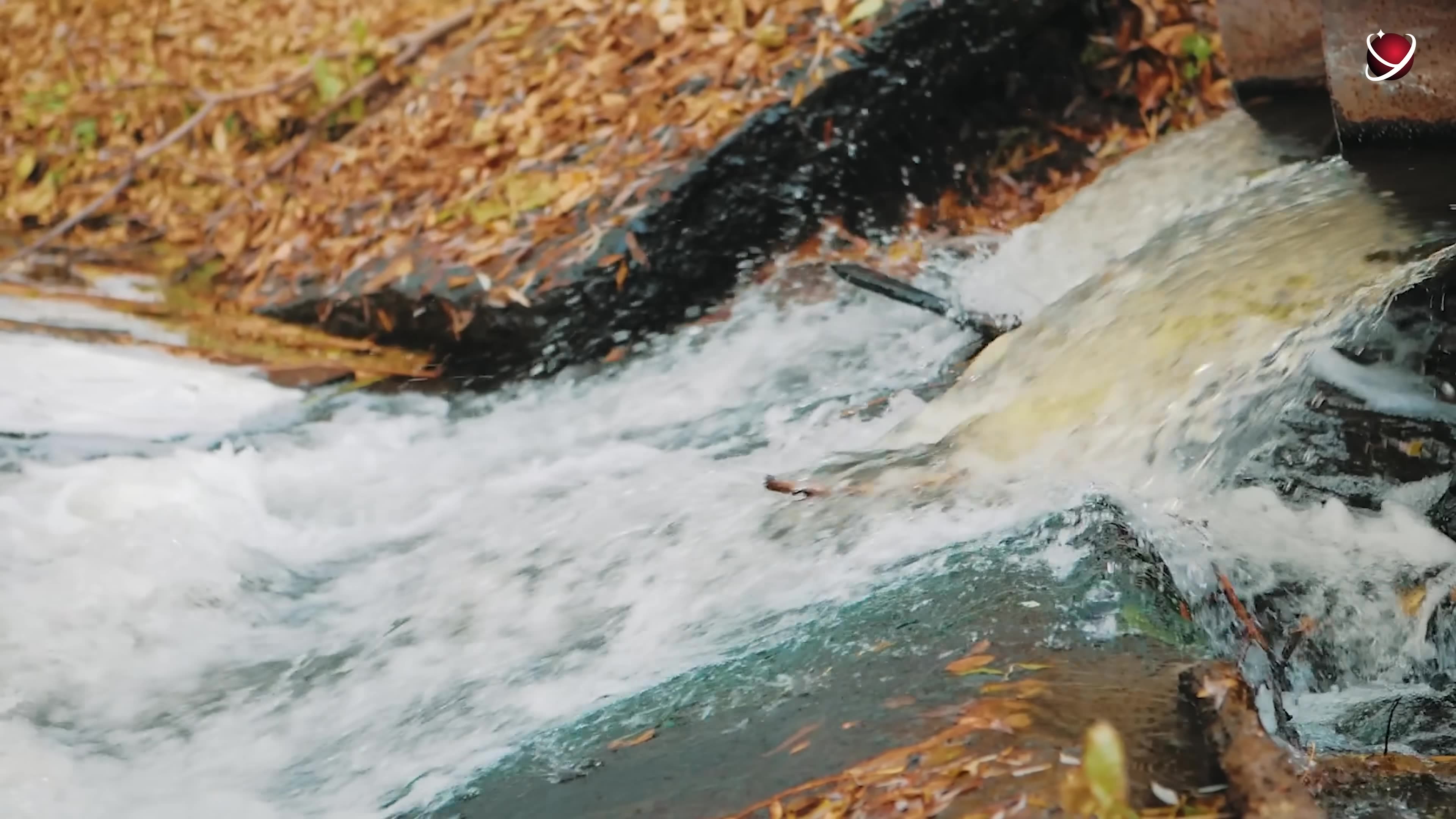 What Lies Beneath Toronto