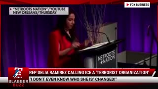 Rep Delia Ramirez Calling ICE A 'Terrorist Organization'